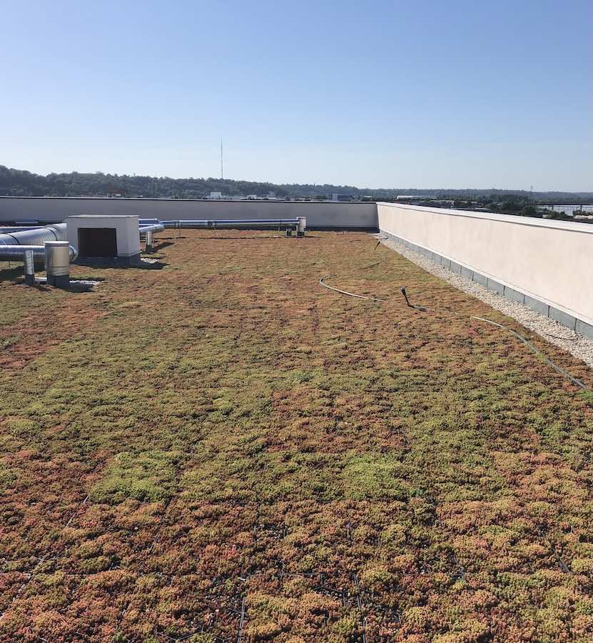 Végétalisation toiture.JPG