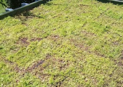 terrasses inaccessibles etancheite E2M eysines 2