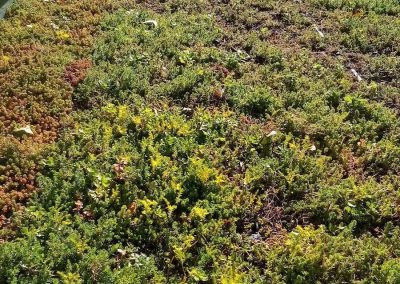 terrasses inaccessibles etancheite E2M eysines 3