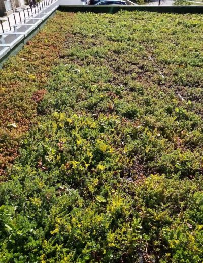 terrasses inaccessibles etancheite E2M eysines 3